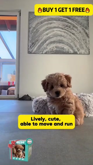 Creative: 4303426e1952af2e10da599a6b00d4be