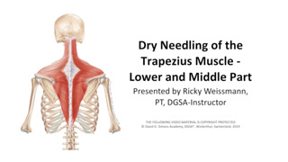 Creative: 43284974466023649ece5936074ffe37