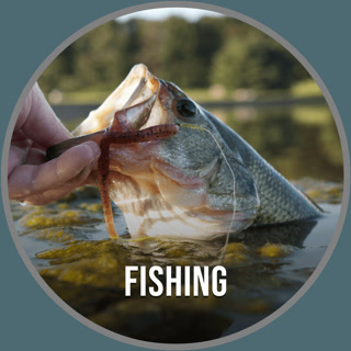 Creative: 43ae2cbe4044d4ec2e1658f335bdb926