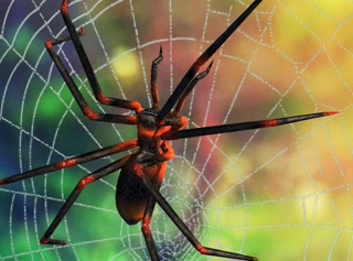 43fec858fd0f163d8392209479b2998d