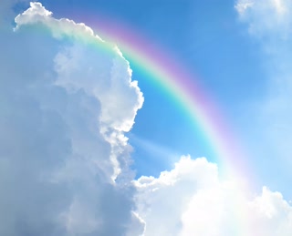 Creative: 442c99b7350730662959c7354d384b45