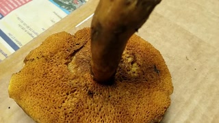 Creative: 4503ca2f725a295a3c585b36b95c2442