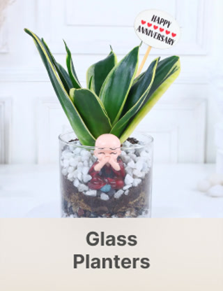 Creative: 4505a106bf0ca27844b3d3691baa3765