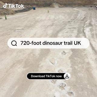 Creative: 45bad51ca1c4b907f45aa7a9eead8be8