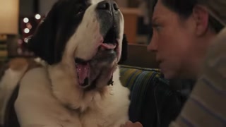 Creative: 46431091092c746e998a2241f0e875c7