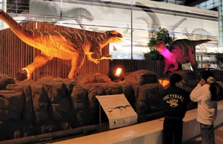 46564d3def2b1d39bae8958a556afad1