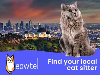 Creative: 468df4de7ab5c748f95928d1b3066648