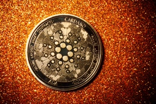 48553078081a03d97c56a2d983d230b2