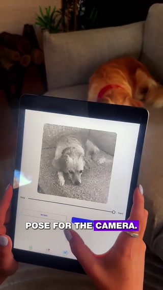 Creative: 49d36ffee1265e605414b0c2d4e9a49a