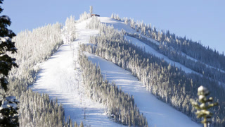 Creative: 4a14bbd3f19fb4aa15c3626396bf2c1e