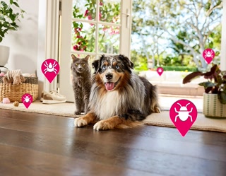 Creative: 4b647e229c6ad53943cbbba2ad8ab7e2