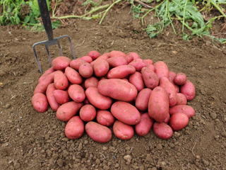 Creative: 4bac4801d2e129074de2ae47707300e1