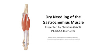 Creative: 4c464239c5af21d9aabc28f18b1a6ac9