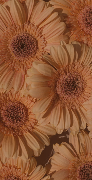 4c89aeb491fac3e2be4c51a44590fe86