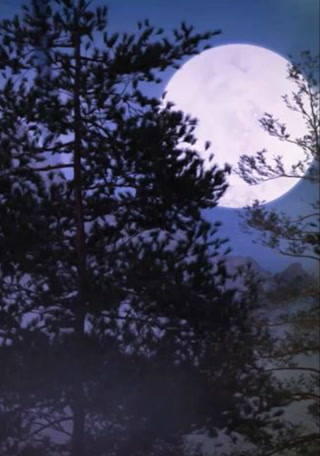 Creative: 4ca86715eba1e1f0df6b1659d989409c