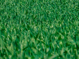 Creative: 4cf7be0a8d50abe8121ca06b2abfae7a