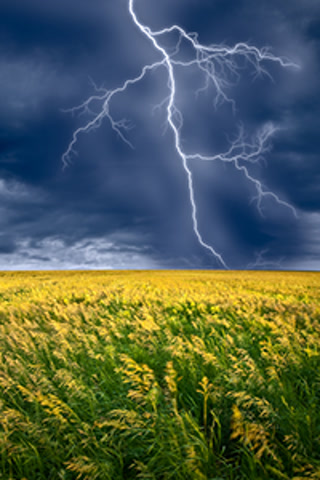 4d1e08d10b65969eb96a80655a50cde5