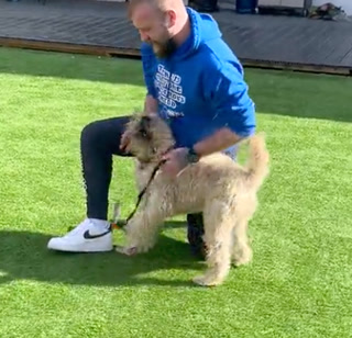 4d3b4764954aadddf3c9846156b27d9a