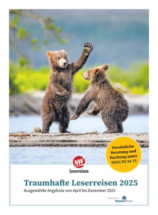 Creative: 4d488b1bbed03267407d56c5142673ab