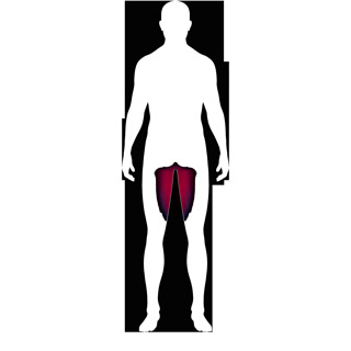 Creative: 4dd36f265bb0e5a8b50670b01c133118