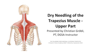 Creative: 4e5ed69ed2ad1b94f0bc05e7abde7443