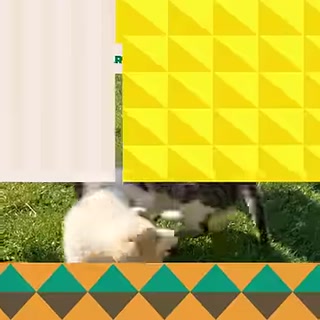 Creative: 4e9aa71a881be8780b1aaa977cc07d35