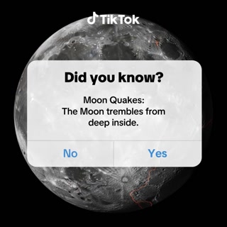 Creative thumbnail for 4eacd259f5bf3e49681c77a79f175f81