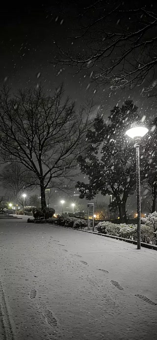 Creative: 4f4fc49fd8def20a163a7e3bef1820f6