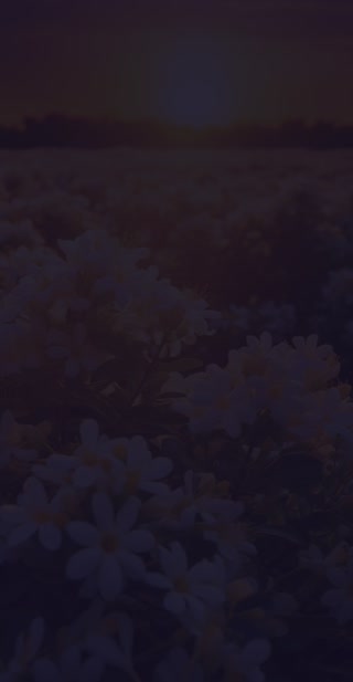 Creative: 4f7998d1acc16aa48eb7aadda89f3a96