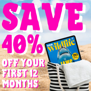 4f7f8a7c40274ef765fbe1d9bda8fede