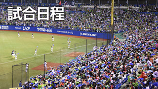 Creative: 4fcba79f3d538d10ff2e211705994ea2