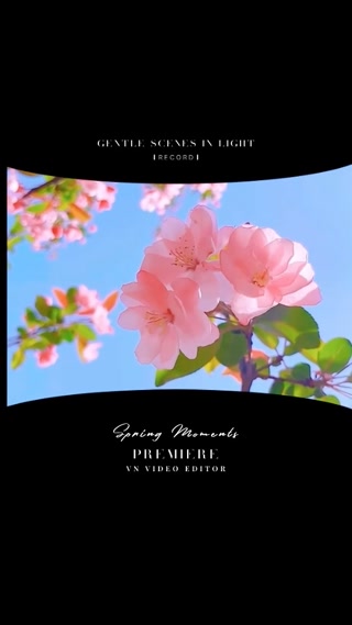 Creative: 4fff659499b898d44999f97ed40aa606