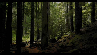 5093a809af8ee8dce254f9ddaea6263f