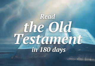 Creative: 50d54e9270a84853a82d4d5ecefe9b79