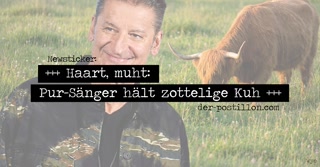 Creative: 5169d58d797cede1aa198262f2289044