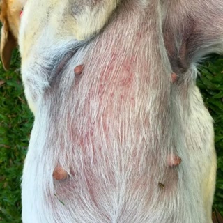 Creative: 52507dd61c3c7e298a6173a602a479e4