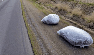 Creative: 52857443777d17d7a8a354805f5a648d