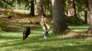 Creative: 529c03a41db5875516d93b45b85b45c7