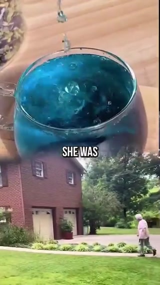 Creative: 52e163108cc35cebbf65c59336b5f525