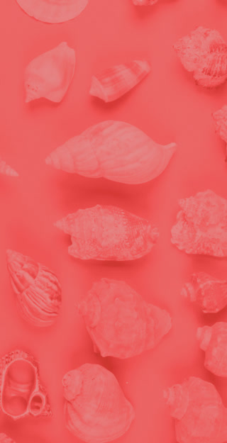 5345c60ba5b6643a4414ad5878227b3e