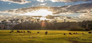 Creative: 53859e3e5f7ad18b90ddbb4a28841426