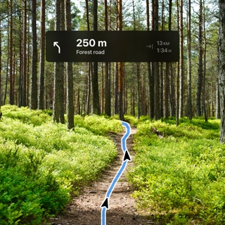 Creative: 53f42adca45bf79253a6009cf4f5b0d4