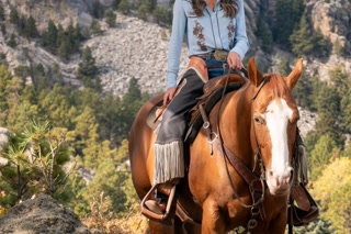 53f8e80d8bbd0f99a6cd2c864bc7216b