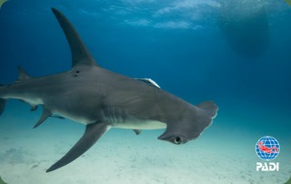 54302d2813b592dca25d3112f7e78bb6