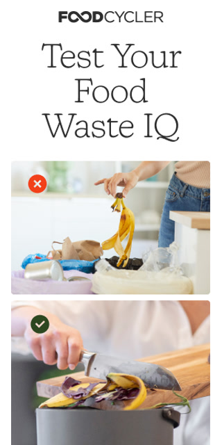 Creative: 548e79a050ede871b2bb765b837d43d1