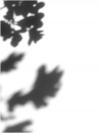 Creative: 54f319bf58f400f37be78663d0ea7f73