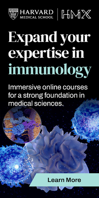 Creative: 556a396f84017c02a0a971341e94c735