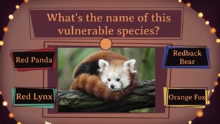 Creative: 55a8c7259c9e7b0c5d3738c558f9bcbe