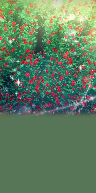 Creative: 565930b8ce55926b7c3444fb0ab76424