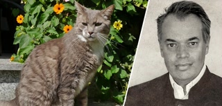 Creative: 569f10c20130f8bf610b0b90c2b8cb10